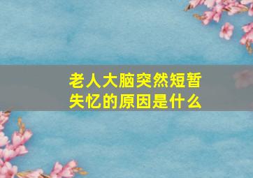 老人大脑突然短暂失忆的原因是什么