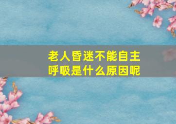 老人昏迷不能自主呼吸是什么原因呢