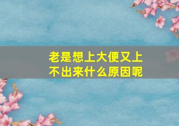 老是想上大便又上不出来什么原因呢