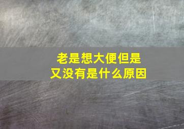 老是想大便但是又没有是什么原因