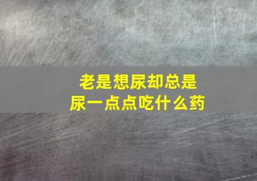 老是想尿却总是尿一点点吃什么药