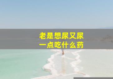 老是想尿又尿一点吃什么药