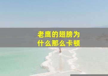 老鹰的翅膀为什么那么卡顿