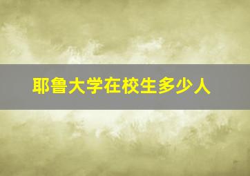 耶鲁大学在校生多少人