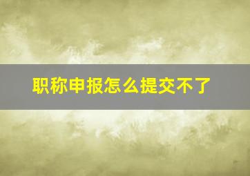 职称申报怎么提交不了