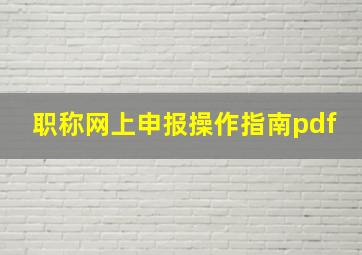 职称网上申报操作指南pdf