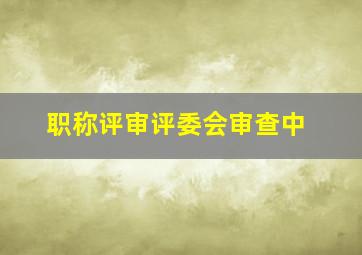 职称评审评委会审查中