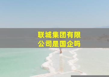 联城集团有限公司是国企吗