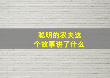 聪明的农夫这个故事讲了什么