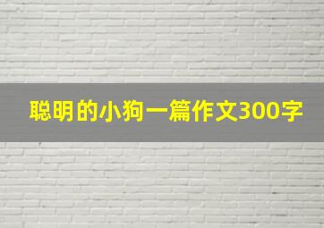 聪明的小狗一篇作文300字