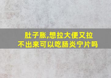 肚子胀,想拉大便又拉不出来可以吃肠炎宁片吗