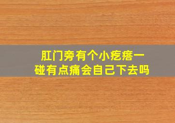 肛门旁有个小疙瘩一碰有点痛会自己下去吗