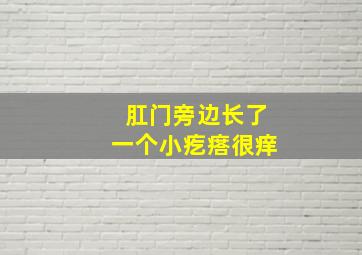 肛门旁边长了一个小疙瘩很痒