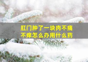 肛门肿了一块肉不痛不痒怎么办用什么药