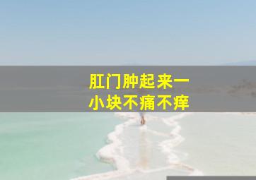 肛门肿起来一小块不痛不痒