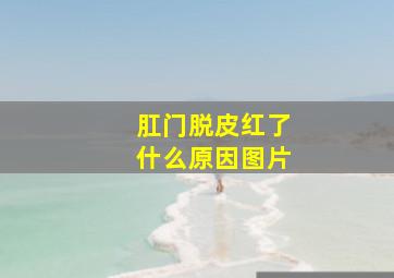 肛门脱皮红了什么原因图片