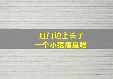 肛门边上长了一个小疙瘩是啥