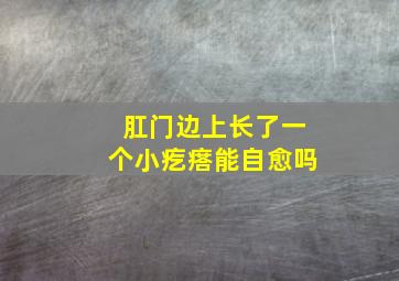 肛门边上长了一个小疙瘩能自愈吗