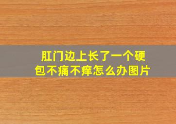 肛门边上长了一个硬包不痛不痒怎么办图片