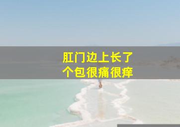 肛门边上长了个包很痛很痒