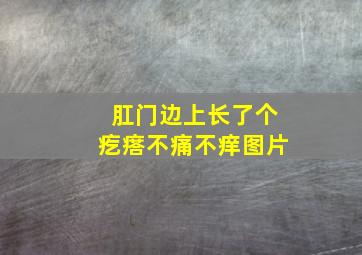 肛门边上长了个疙瘩不痛不痒图片