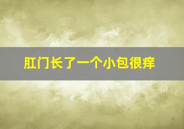 肛门长了一个小包很痒