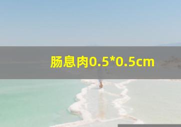 肠息肉0.5*0.5cm