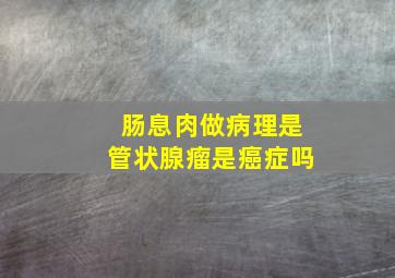 肠息肉做病理是管状腺瘤是癌症吗