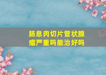 肠息肉切片管状腺瘤严重吗能治好吗