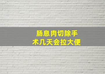 肠息肉切除手术几天会拉大便