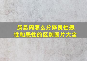 肠息肉怎么分辨良性恶性和恶性的区别图片大全