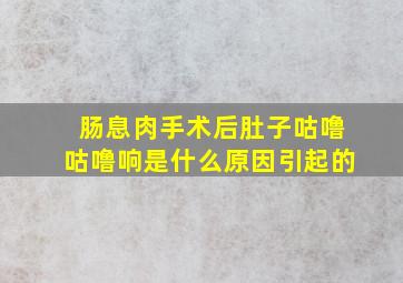 肠息肉手术后肚子咕噜咕噜响是什么原因引起的