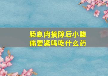 肠息肉摘除后小腹痛要紧吗吃什么药