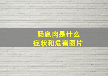 肠息肉是什么症状和危害图片