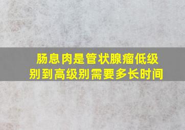 肠息肉是管状腺瘤低级别到高级别需要多长时间