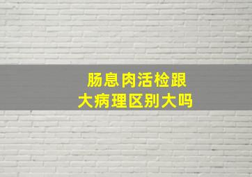 肠息肉活检跟大病理区别大吗