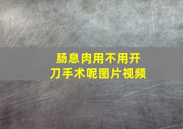 肠息肉用不用开刀手术呢图片视频