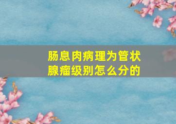 肠息肉病理为管状腺瘤级别怎么分的