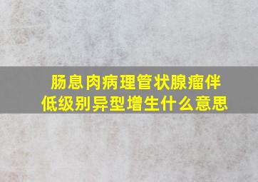 肠息肉病理管状腺瘤伴低级别异型增生什么意思