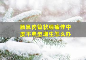 肠息肉管状腺瘤伴中度不典型增生怎么办