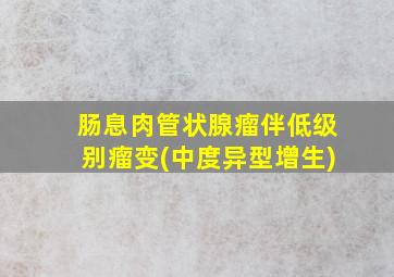 肠息肉管状腺瘤伴低级别瘤变(中度异型增生)