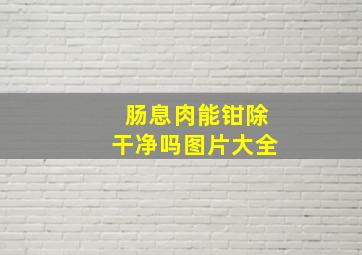 肠息肉能钳除干净吗图片大全