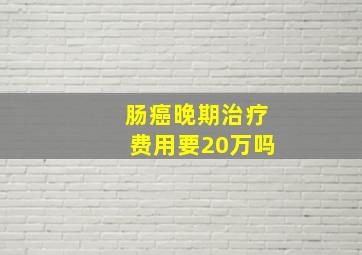 肠癌晚期治疗费用要20万吗