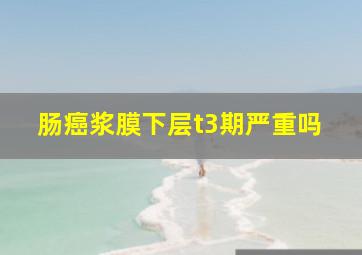 肠癌浆膜下层t3期严重吗