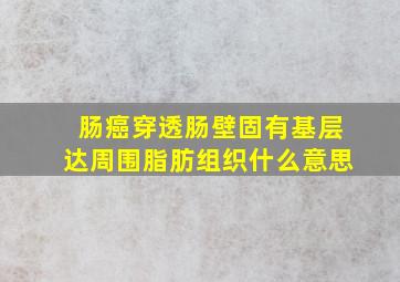 肠癌穿透肠壁固有基层达周围脂肪组织什么意思