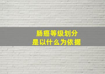 肠癌等级划分是以什么为依据