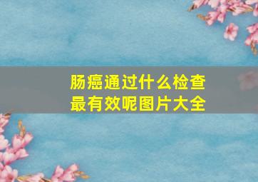 肠癌通过什么检查最有效呢图片大全