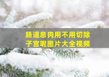 肠道息肉用不用切除子宫呢图片大全视频