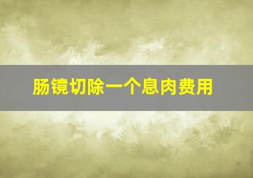 肠镜切除一个息肉费用