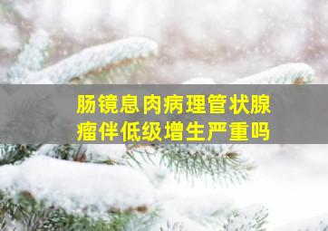 肠镜息肉病理管状腺瘤伴低级增生严重吗